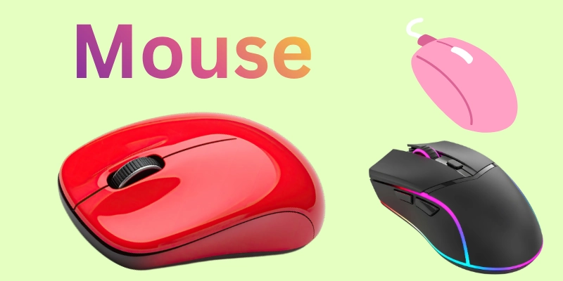 Mouse 2 Parts Of Computer