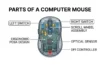 Parts of a Computer Mouse: Complete Guide with Functions - Post Thumbnail