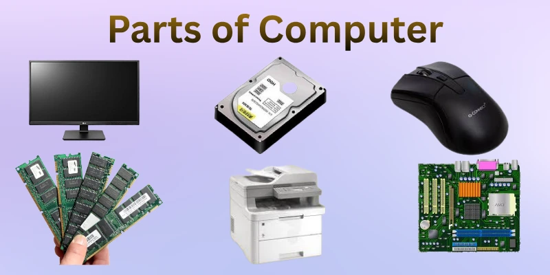 Parts Of Computer Parts Of Computer