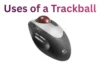 Uses of a Trackball: Surprising Ways It Improves Efficiency - Post Thumbnail