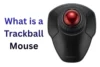What is a Trackball Mouse A Powerful Guide You Must Read - Post Thumbnail