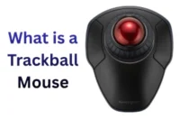 What is a Trackball Mouse A Powerful Guide You Must Read