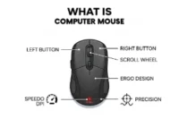 What is a Computer Mouse? Everything You Need to Know